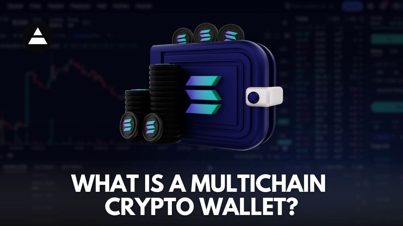 graphic for article What Is a Multichain Crypto Wallet?